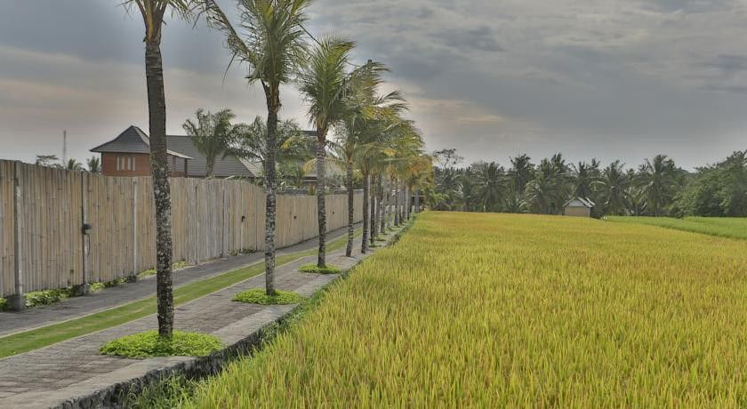 Hotel Pertiwi Bisma 1 à Ubud Extérieur photo